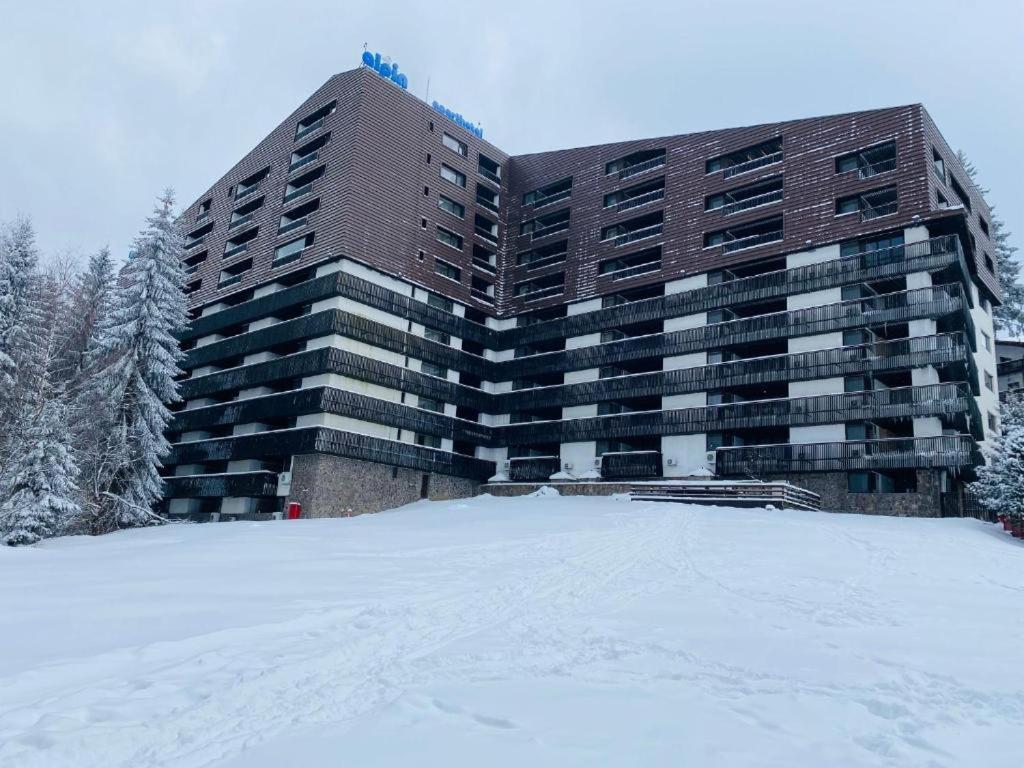 Alpin Resort Hotel - Apartamentele 2403-2404- Proprietate Administrata De Gazda Privata Poiana Braşov Dış mekan fotoğraf
